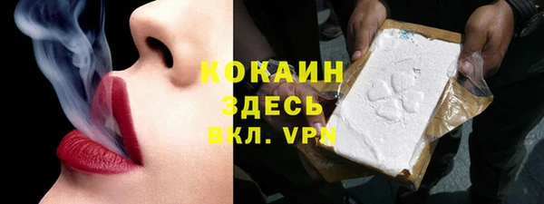 ГАЛЛЮЦИНОГЕННЫЕ ГРИБЫ Аркадак