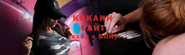 ГАЛЛЮЦИНОГЕННЫЕ ГРИБЫ Аркадак