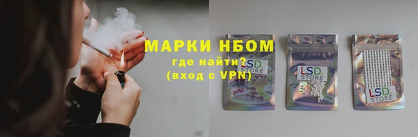 ГАЛЛЮЦИНОГЕННЫЕ ГРИБЫ Аркадак
