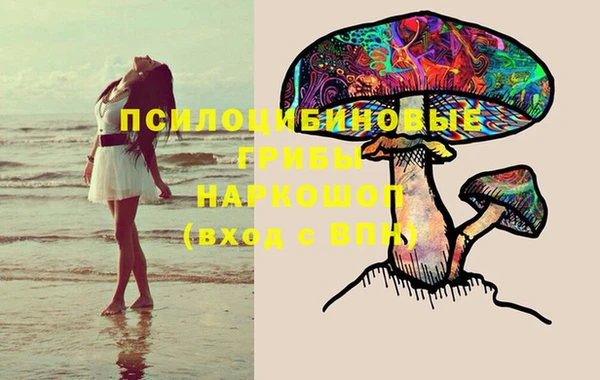 ГАЛЛЮЦИНОГЕННЫЕ ГРИБЫ Аркадак