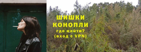 ГАЛЛЮЦИНОГЕННЫЕ ГРИБЫ Аркадак