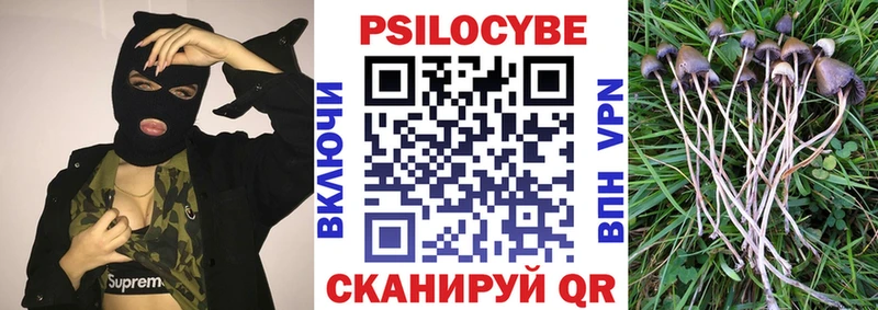 Галлюциногенные грибы MAGIC MUSHROOMS  Сураж 
