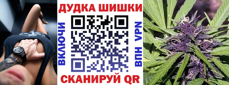 как найти закладки  Сураж  Шишки марихуана марихуана 